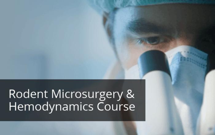 Rodent Microsurgery and Hemodynamic Measurements Training Program