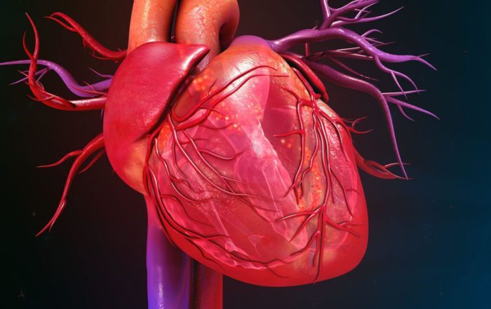WEBINAR REVIEW: Dan Burkhoff, MD PhD, Presents The Fundamentals of Cardiovascular Physiology and Hemodynamics [PART 1 & 2]