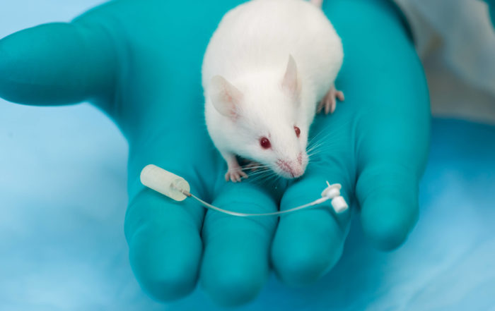 White Paper Review – Infusion vs. Injection: Considerations for Administering Drug Compounds in Small Animal Research