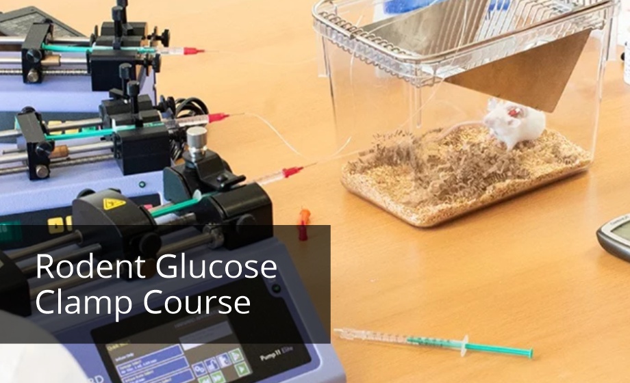 Rodent Glucose Clamp Workshop