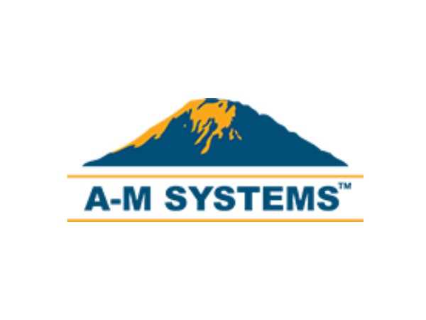 AM-Systems