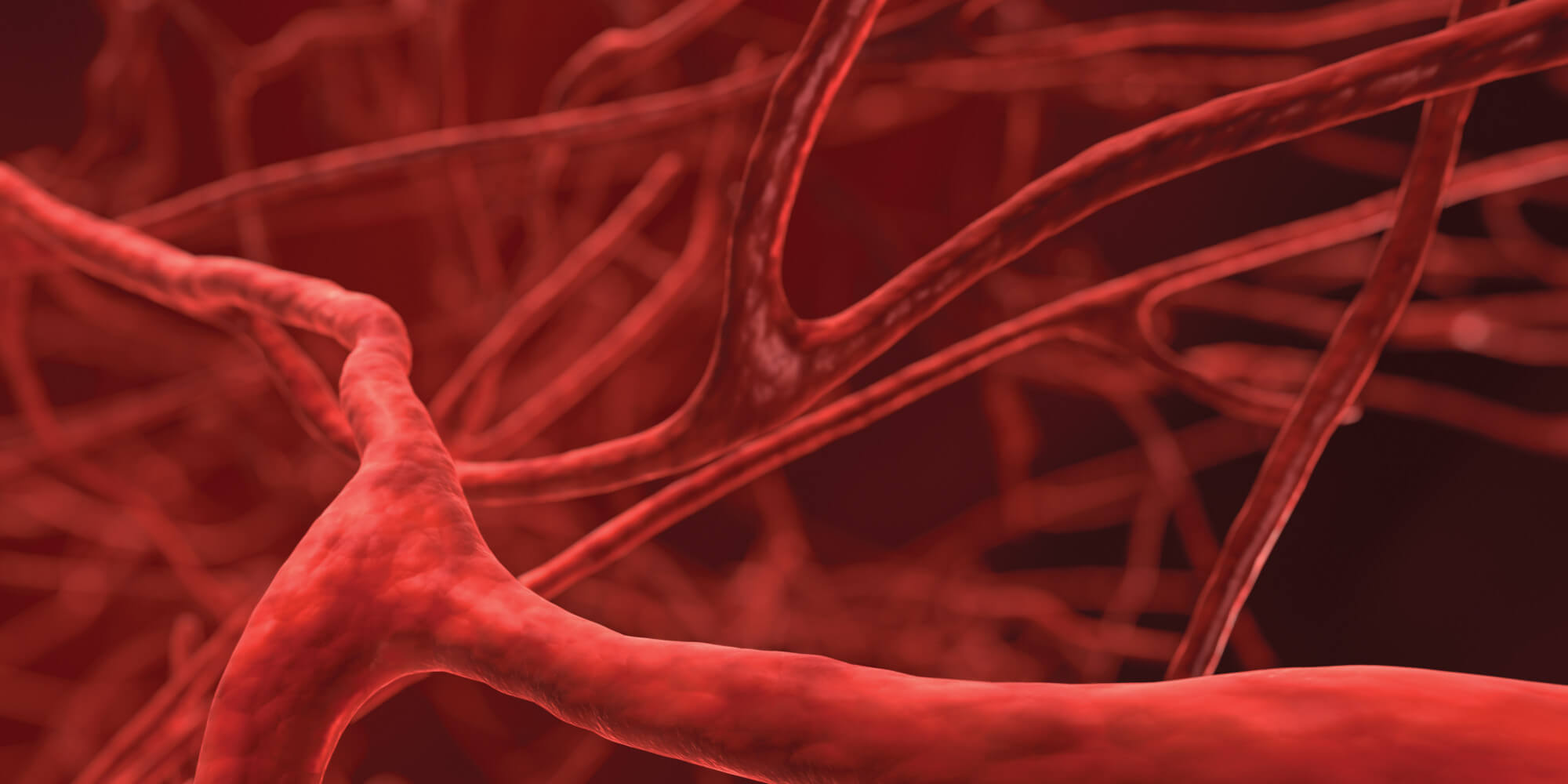 Getting Started with In-Vitro Blood Vessel Research
