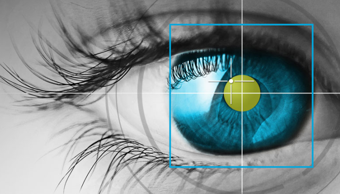 Webinar Review: Integrating Eye Tracking Measurements with Physiological Monitoring