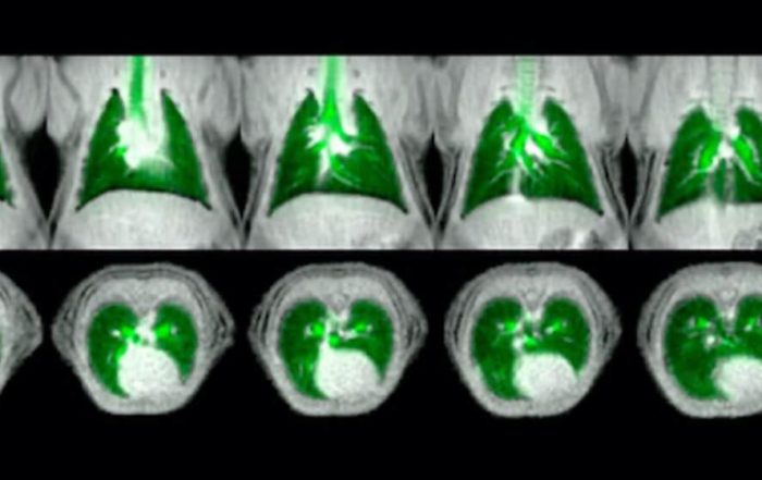 Hyperpolarized Xe MRI of Pulmonary Gas-Exchange in Rodents