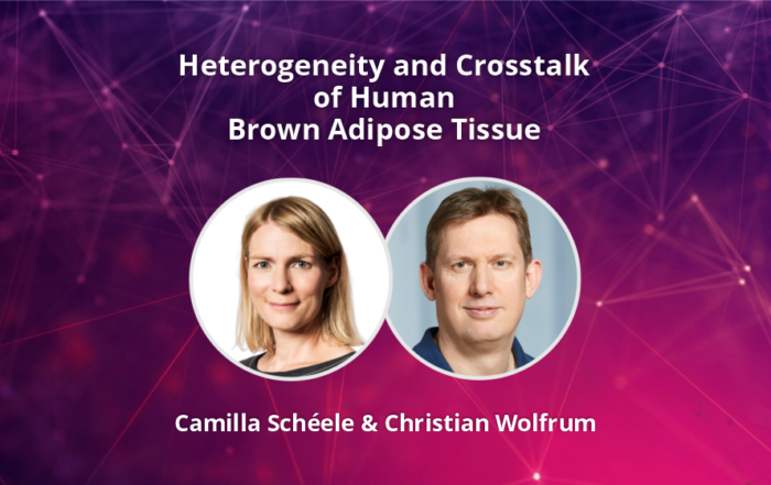 Heterogeneity and Crosstalk of Human Brown Adipose Tissue