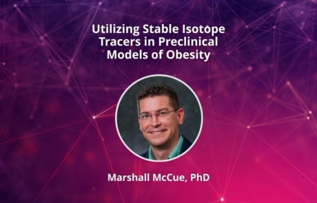 Utilizing Stable Isotope Tracers in Preclinical Models of Obesity