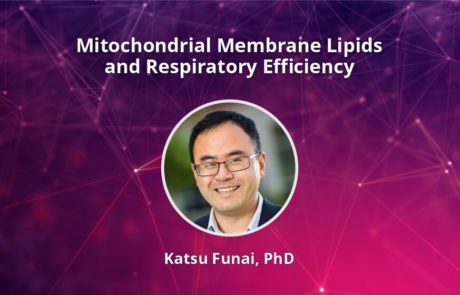 Mitochondrial Membrane Lipids and Respiratory Efficiency