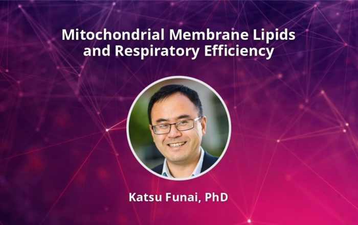Mitochondrial Membrane Lipids and Respiratory Efficiency