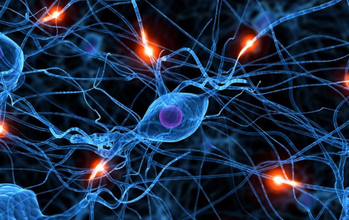 Recording Neuronal Activity in Animal Models