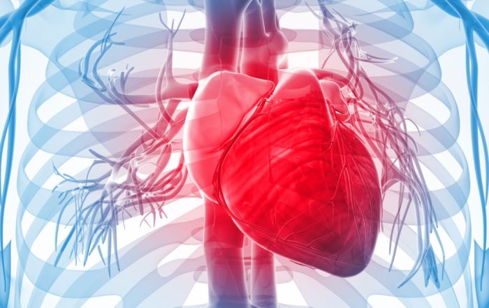 Preclinical Cardiovascular Science 2018