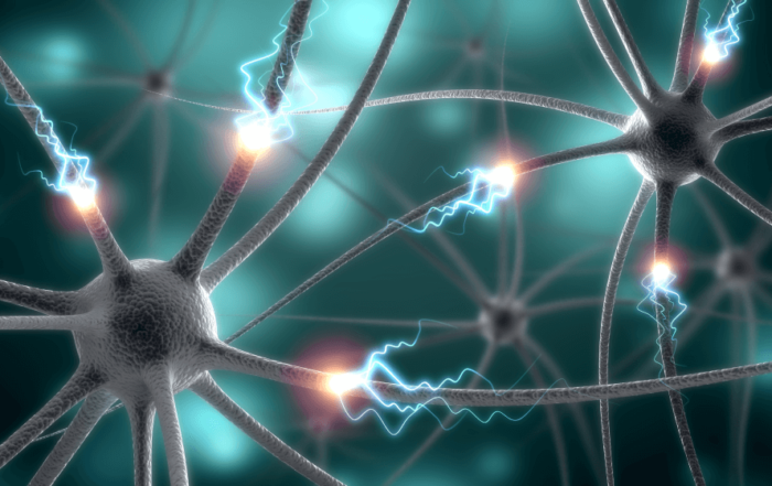 The Brain as a Whole: Executive Neurons and Sustaining Homeostatic Glia