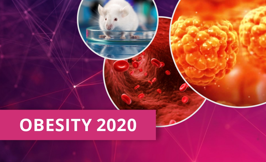 Obesity Webinar Series 2020