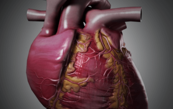 PV Loops to Measure Cardiac Function 2014