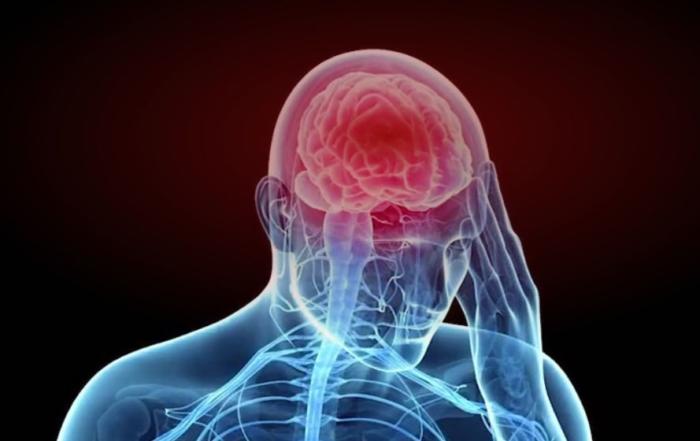 Multimodal Behavioral Assessment After Experimental Brain Trauma