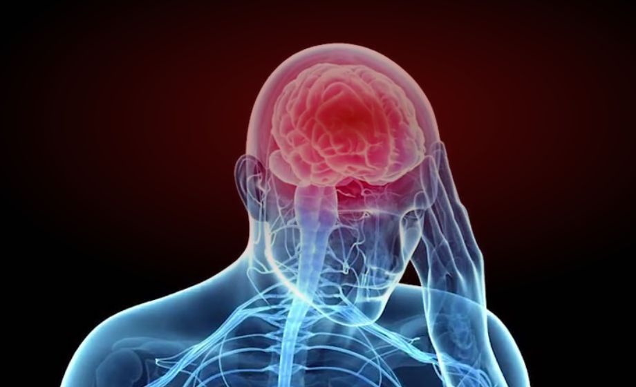 Multimodal Behavioral Assessment After Experimental Brain Trauma