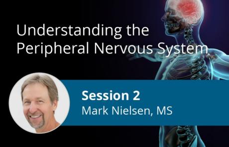 Understanding the Peripheral Nervous System