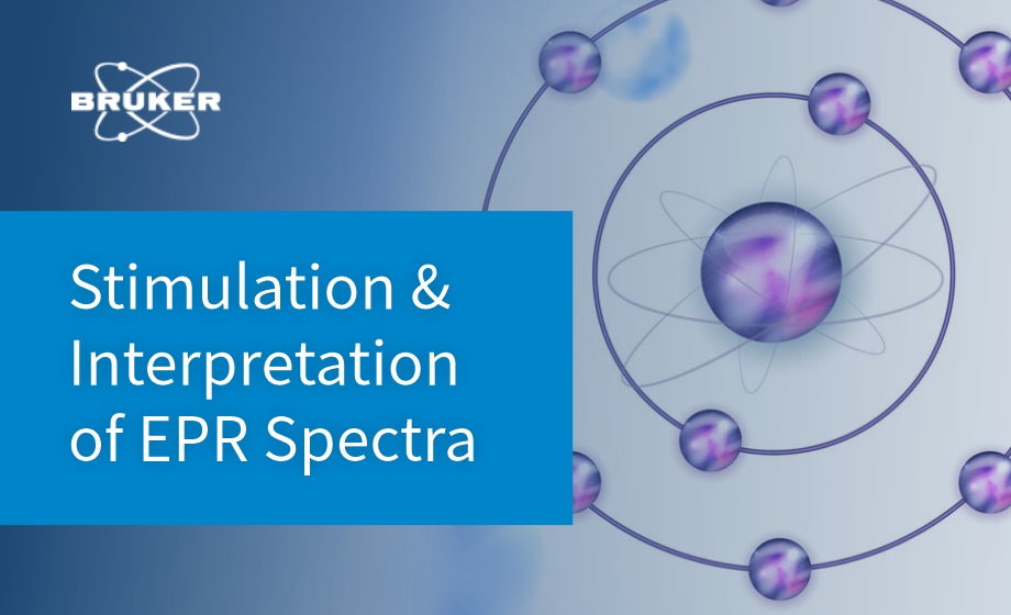 Simulation and Interpretation of EPR Spectra