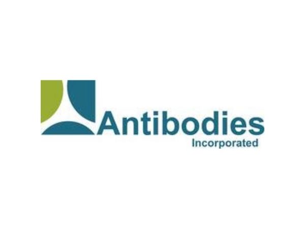 Antibodies Inc.
