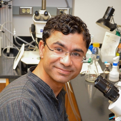 Rizwan Qaisar, PhD