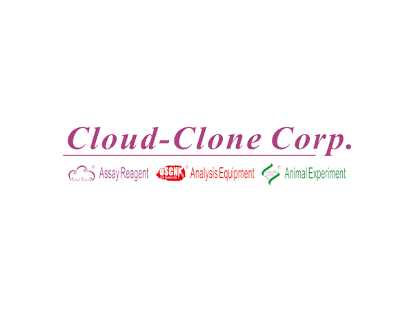 cloud-clone corp