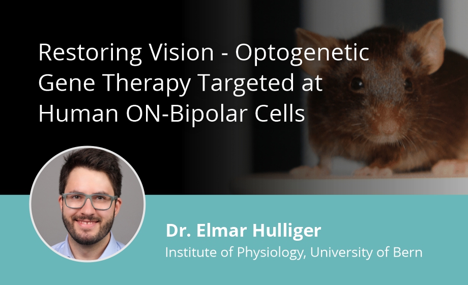 Restoring vision - Optogenetic gene therapy targeted at human ON-bipolar cells