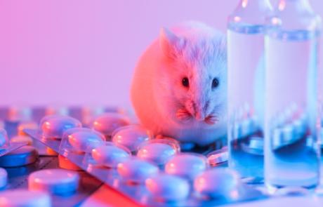 Rodent Models of Pharmacotherapy and Chronotherapy for Obesity and Cardiometabolic Disease