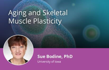 Aging and Skeletal Muscle Plasticity