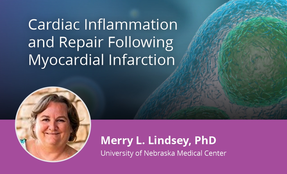 Cardiac Inflammation and Repair Following Myocardial Infarction