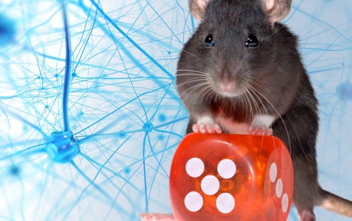 Sex, Drugs, and Bad Choices: Modeling Human Decision Making in Rats