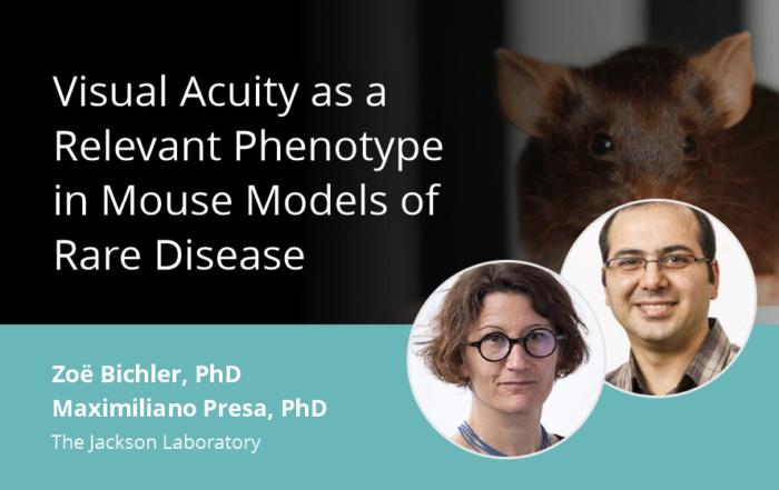 Visual Acuity as a Relevant Phenotype in Mouse Models of Rare Disease