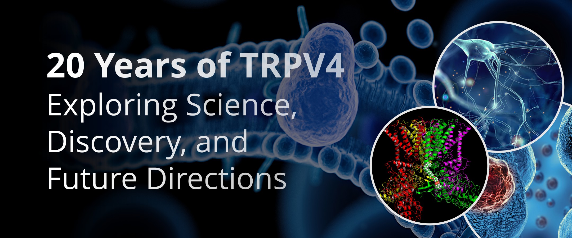 20 Years of TRPV4 - Exploring Science, Discovery, and Future Directions