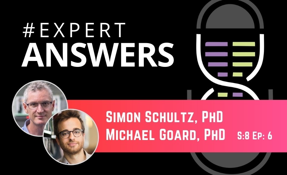 Expert Answers: Simon Schultz & Michael Goard on Two-Photon Neuroimaging