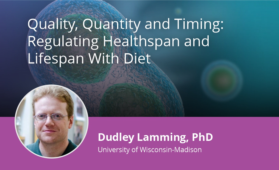 Quality, Quantity, and Timing: Regulating Healthspan and Lifespan With Diet