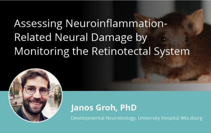 Assessing Neuroinflammation-Related Neural Damage by Monitoring the Retinotectal System