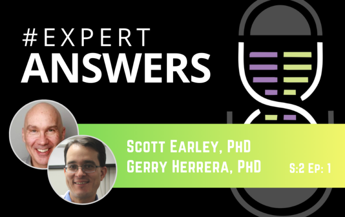 #ExpertAnswers: Scott Earley & Gerry Herrera on In-Vitro Blood Vessel Research