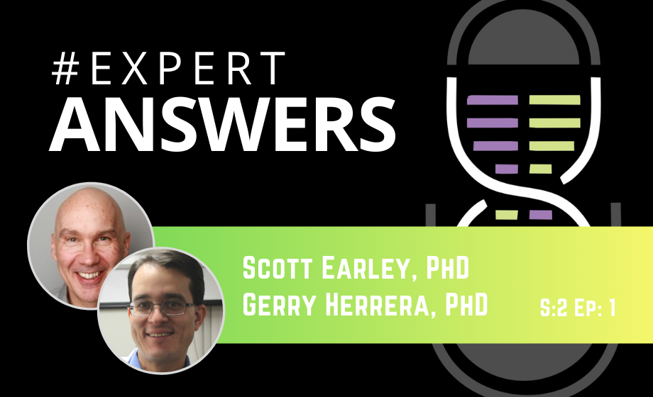 Expert Answers Scott Earley & Gerry Herrera on In-Vitro Blood Vessel Research