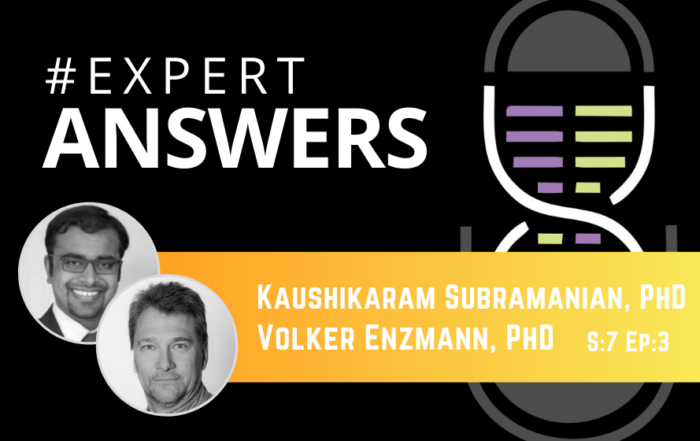 #ExpertAnswers: Kaushikaram Subramanian & Volker Enzmann on the Optomotor Reflex