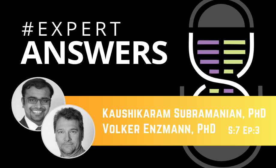 Expert Answers: Kaushikaram Subramanian & Volker Enzmann on the Optomotor Reflex