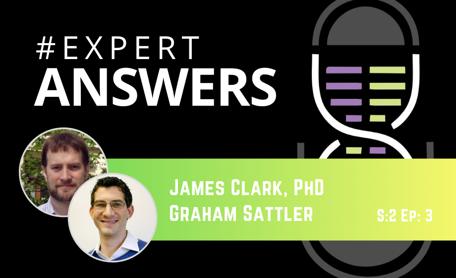 Expert Answers: James Clark & Graham Sattler on Improving Rodent Cardiovascular Research Outcomes