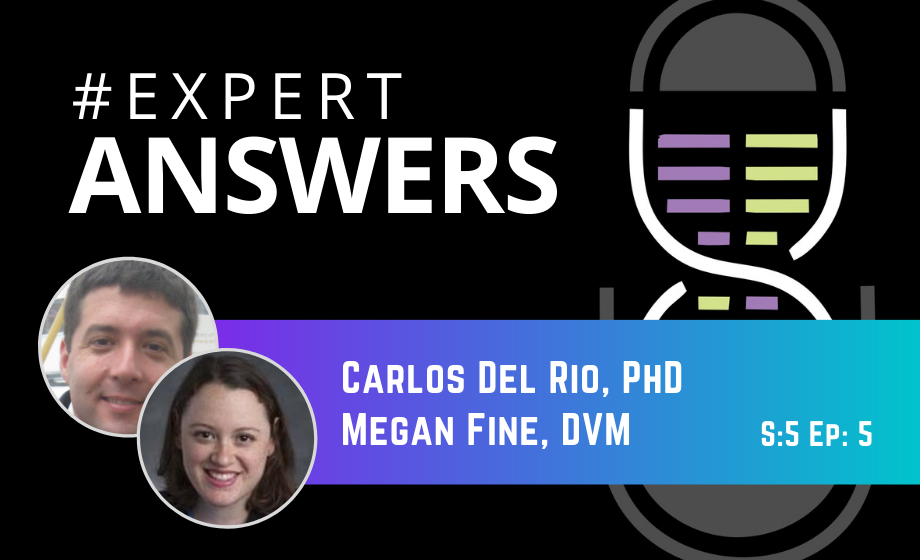 Expert Answers: Carlos Del Rio & Megan Fine on Telemetry and Ultrasound