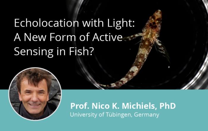 Echolocation with Light: A New Form of Active Sensing in Fish?