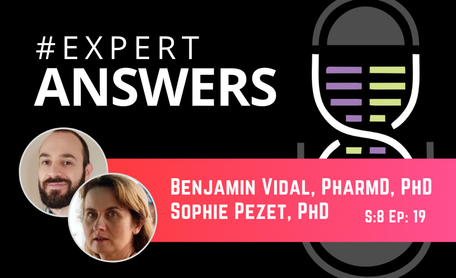 Expert Answers: Sophie Pezet & Benjamin Vidal on Functional Ultrasound Imaging