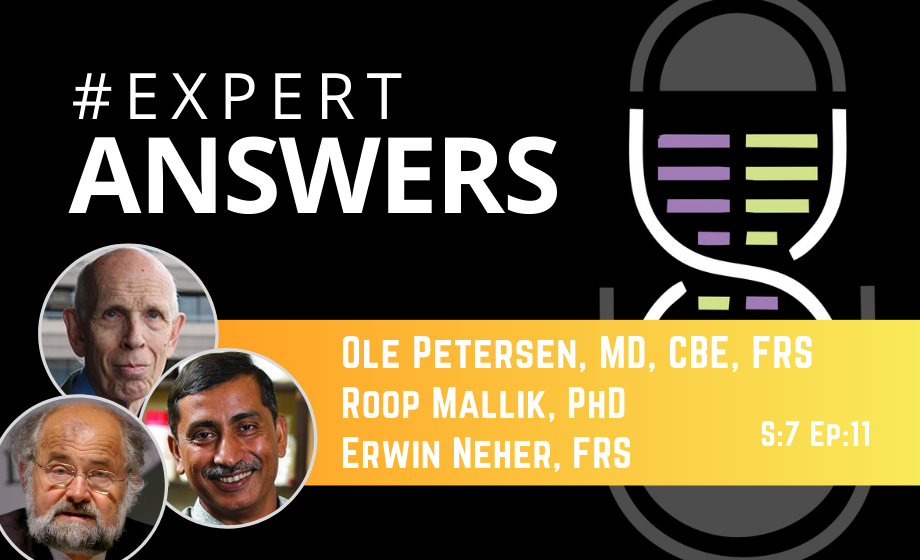 Expert Answers: Ole Petersen, Roop Mallik & Erwin Neher on Endocytosis and Calcium Signaling in the Context of SARS-CoV-2