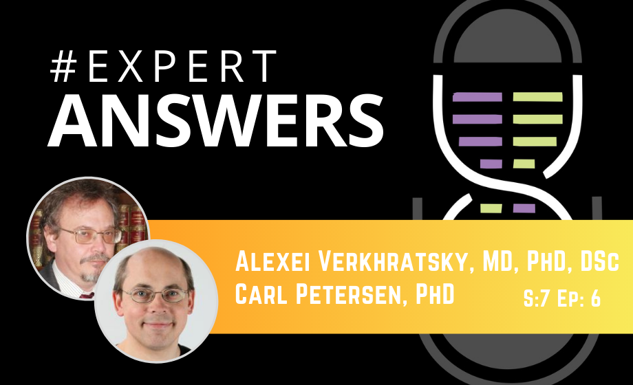 Expert Answers: Carl Petersen & Alexei Verkhratsky on Functional Neuroimaging