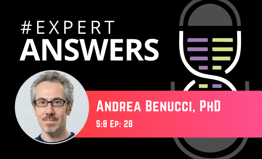 Expert Answers: Andrea Benucci on Decision Making Behavior in Mice