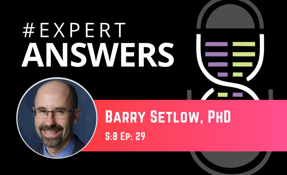 Expert Answers: Barry Setlow on Substance Use and Decision Making