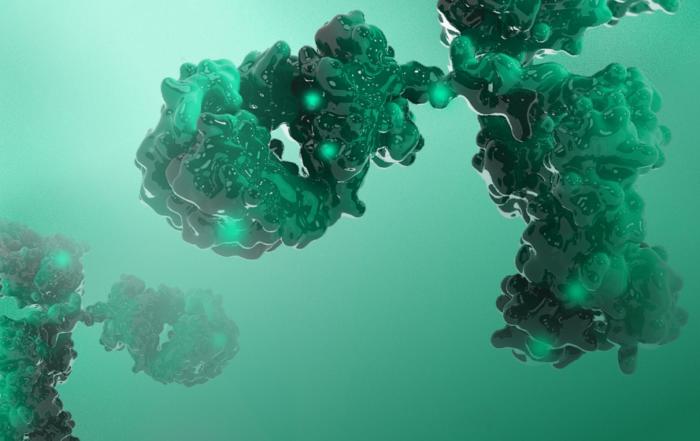 Antibody Discovery Platforms to Support Functional Monoclonal Antibody Generation