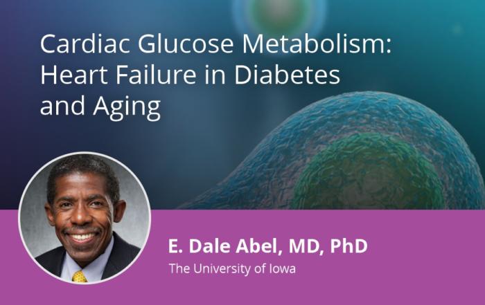 Cardiac Glucose Metabolism: Heart Failure in Diabetes and Aging