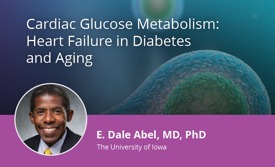Cardiac Glucose Metabolism: Heart Failure in Diabetes and Aging