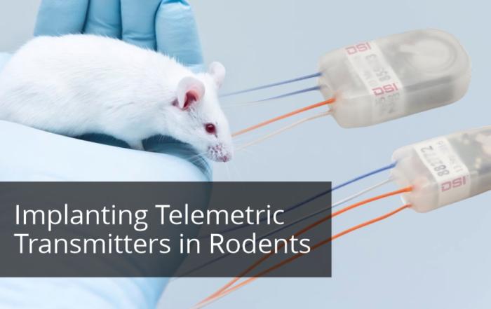 RRSSC – Implanting Telemetric Transmitters in Rodents